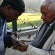 Church Square 024 Chicco (left) and Vincent (right) tending the pigeon