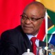 Africa BRICS summit