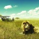 South Africa Tourism
