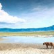 South African Tourism South African Tourism