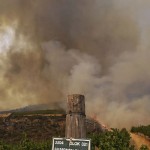 Fires cause drop in agricultural production