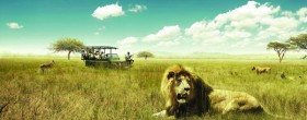 South Africa Tourism