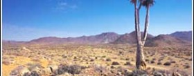 Richtersveld Cultural and Botanical Landscape