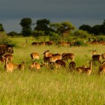 National Parks Week 2012