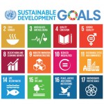 SA gives Sustainable Development thumbs up